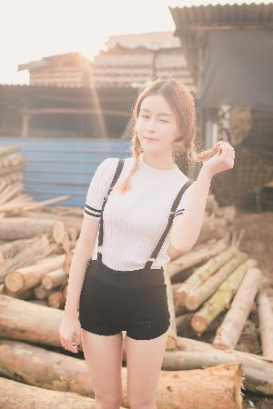 白色橄榄树电视剧完整版免费观看