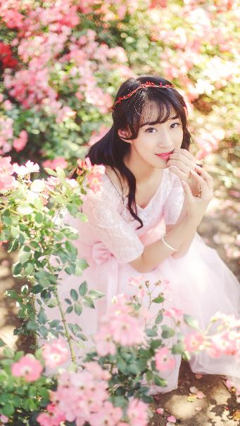 5人轮换免费观看电视剧最新